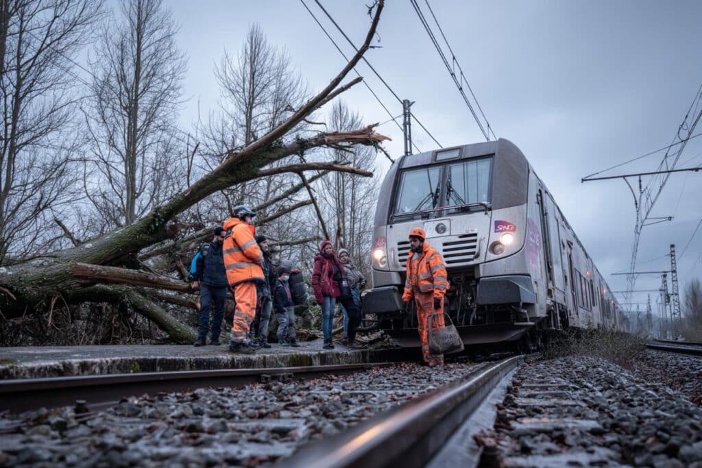 train ter bloque par arbre